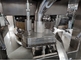 Máquina efervescente de la compresión de la tableta del alcanfor de la vitamina de la leche proveedor