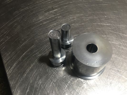 TIANHE Customized Multi-head mould/Punches & dies/Material S7 Hard Chrome proveedor