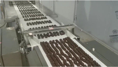 Máquina rotativa de prensado de tabletas de polvo de 10 g de cubitos de caldo de pollo TIANHE proveedor